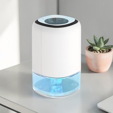 Portable Mini Dehumidifier for