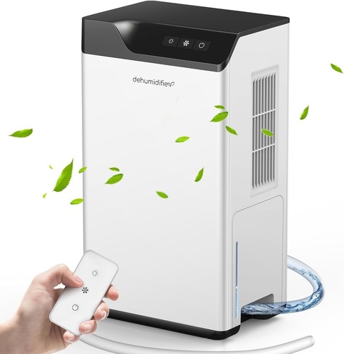 Dehumidifier for home small - for,